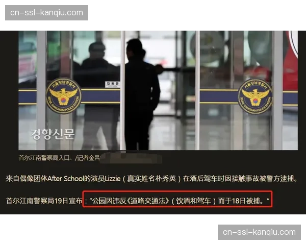 “消息：西班牙警方逮捕涉嫌攻击欧冠票务系统的黑客组织成员”